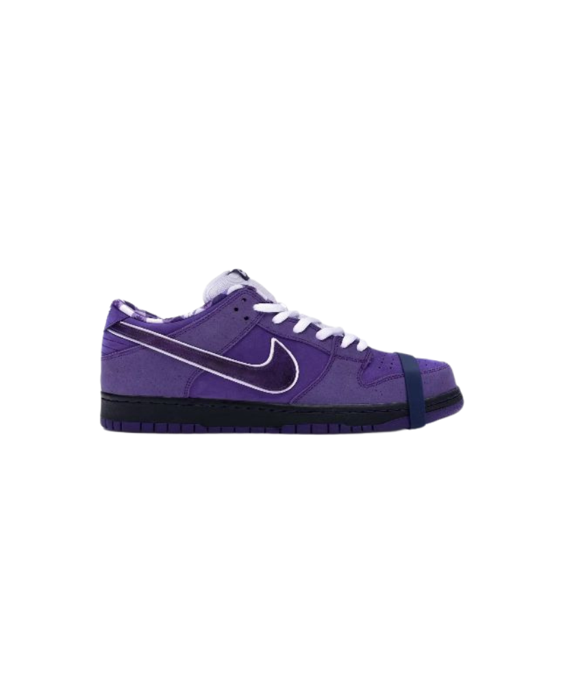 Nike SB Dunk Low Concepts “Purple Lobster”