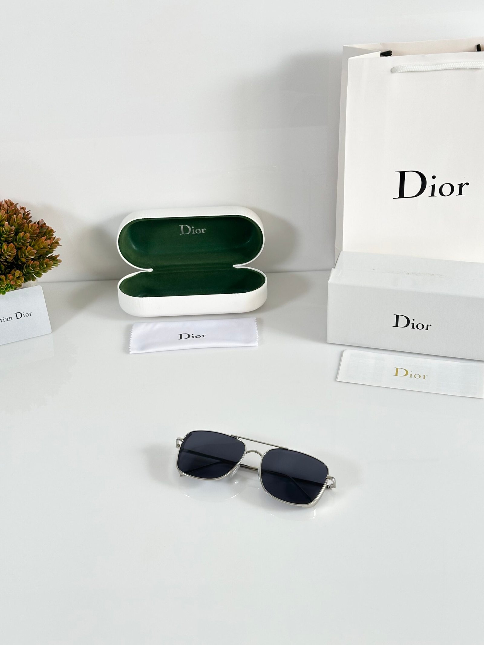Dior_8287_Silver_Black - Image 4