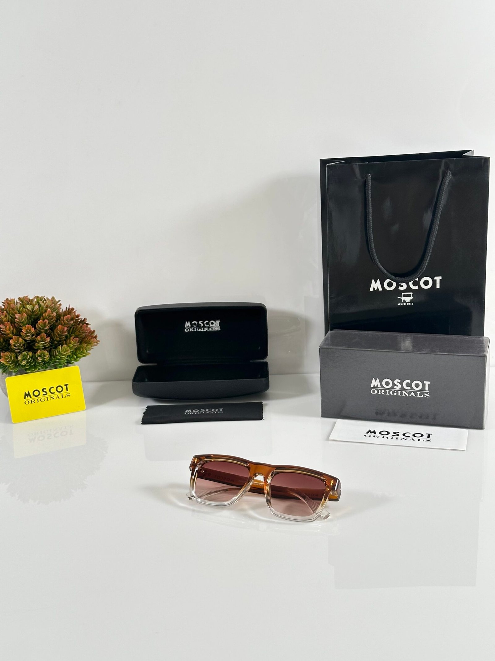 Moscot 1120 Water Brown - Image 4