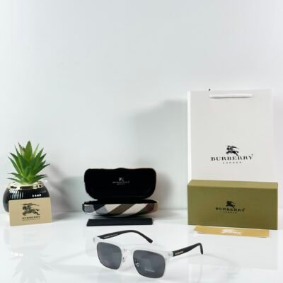 Burberry_2821_Ice_Black