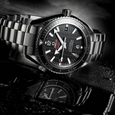 Omeg_a Seamaster Planet Ocean 600M